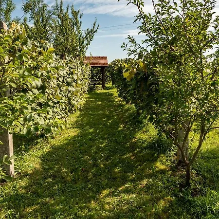 Holiday Home Navis Karlovac Exterior photo