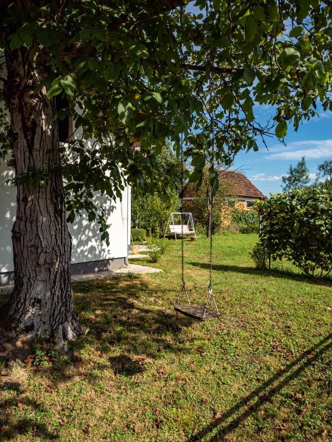 Navis Karlovac