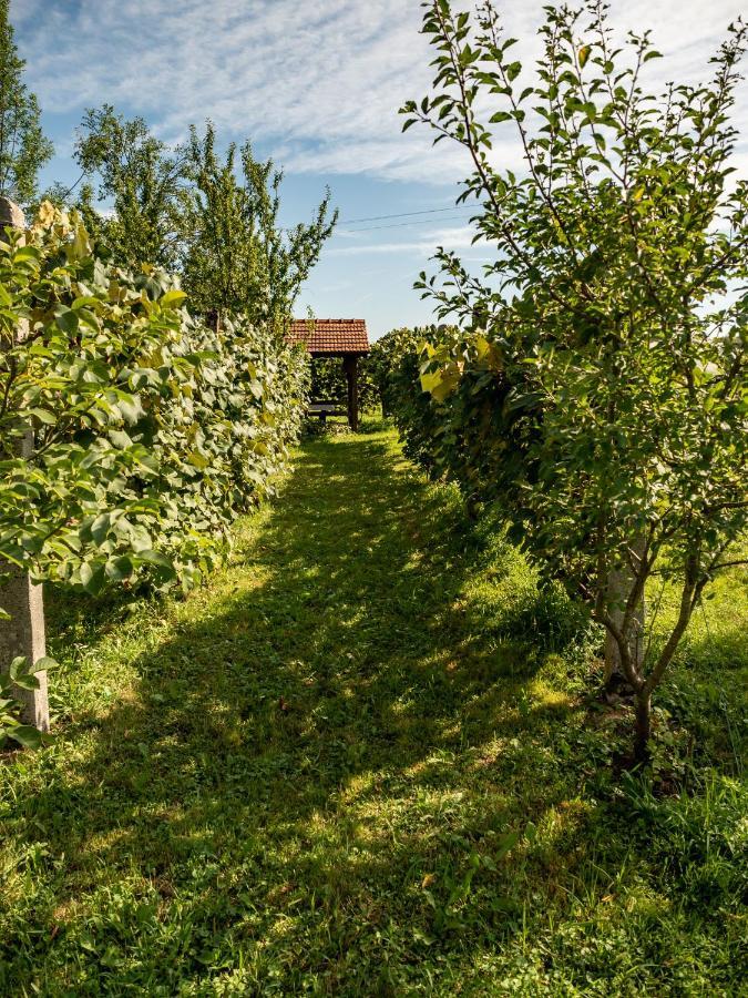 Navis Ferienhaus Karlovac